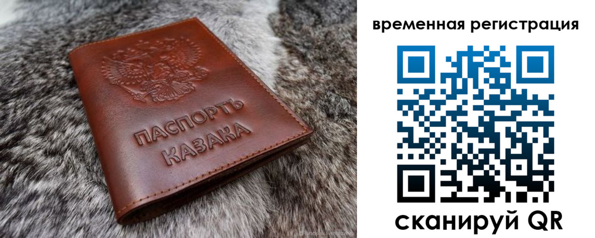 прописка 2025 в Поворино